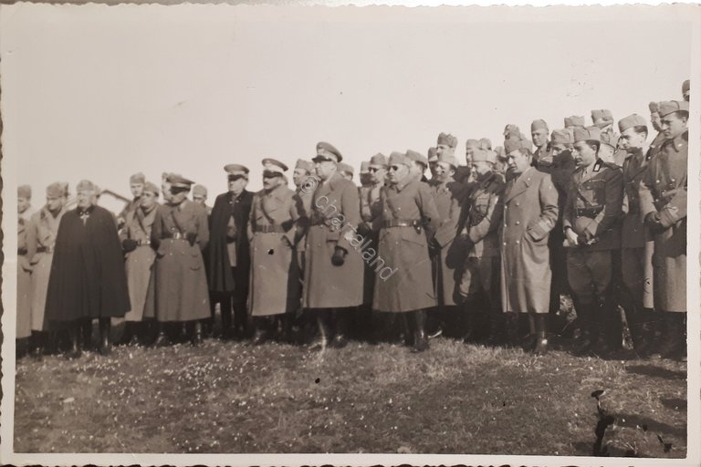 Cartolina - Militaria - Fotografia - 1939