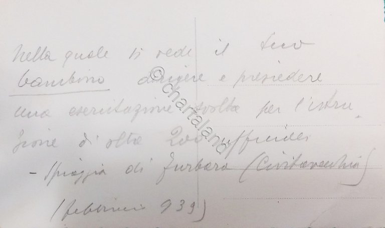 Cartolina - Militaria - Fotografia - 1939