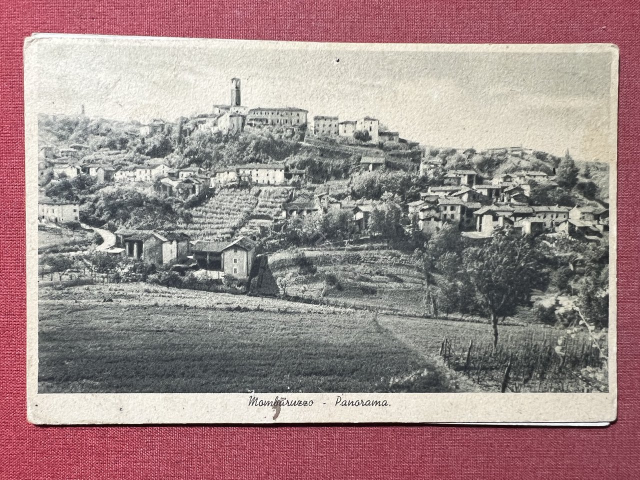 Cartolina - Mombaruzzo ( Asti ) - Panorama - 1947