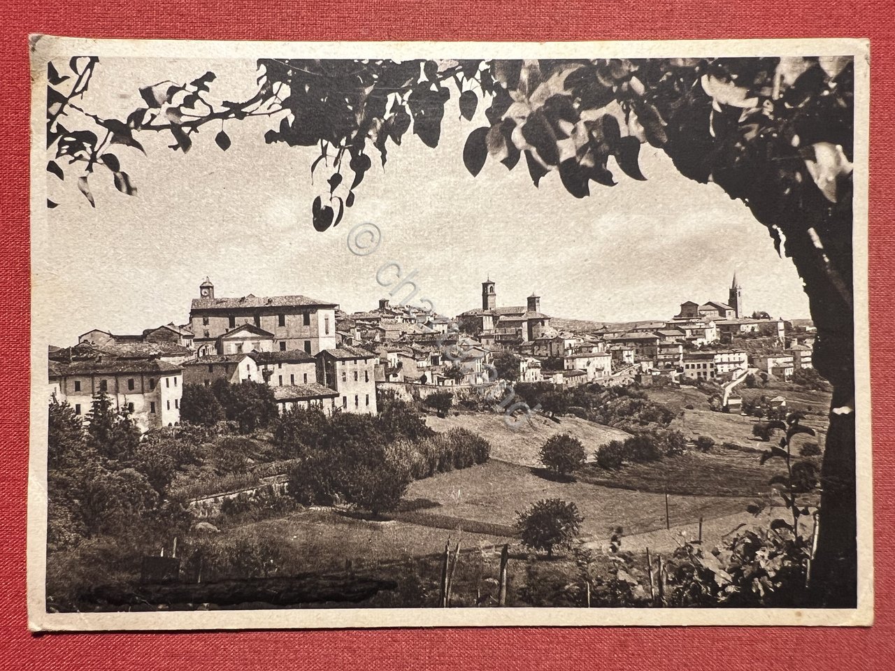 Cartolina - Moncalvo ( Asti ) - Panorama - 1949