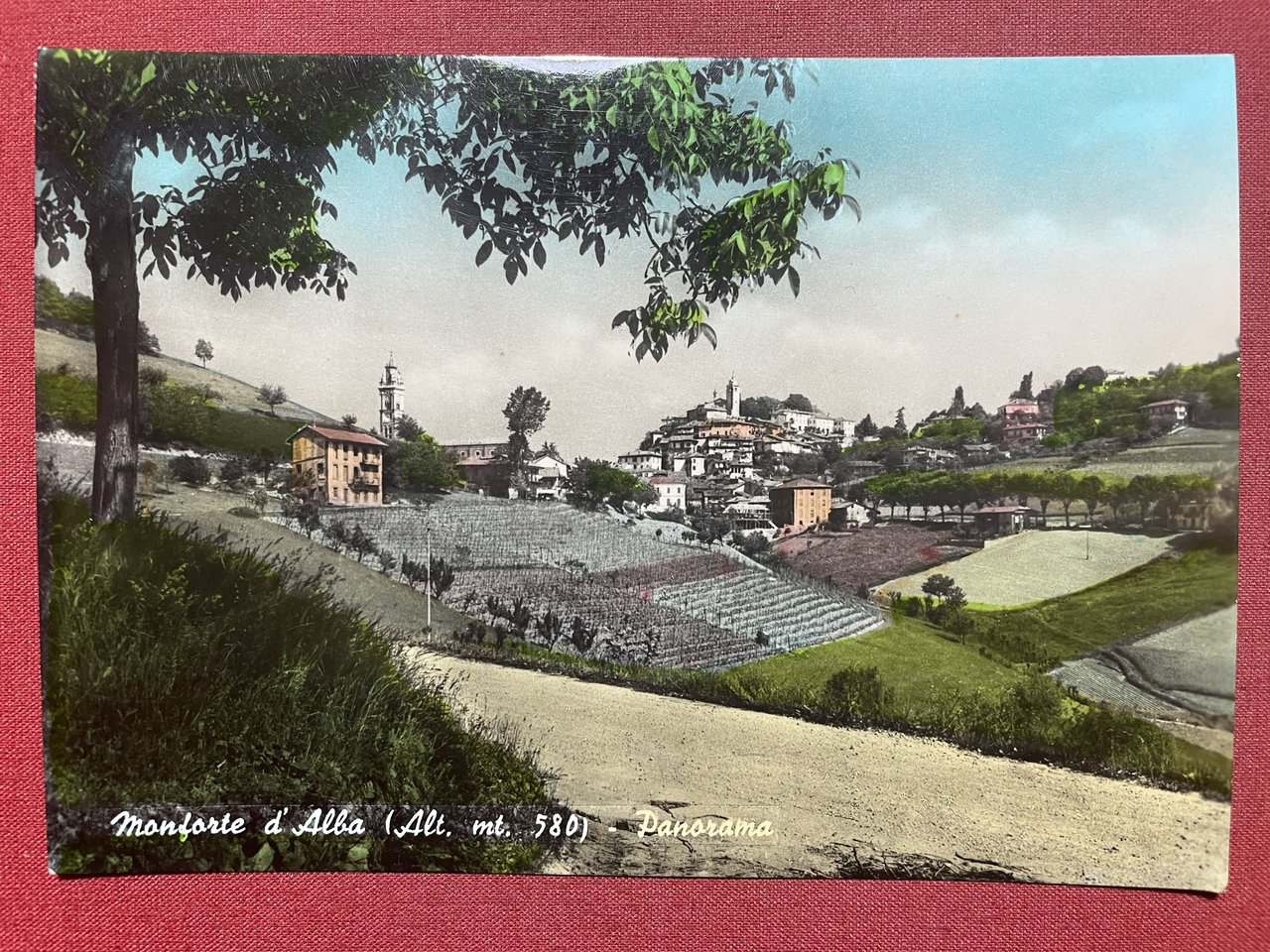 Cartolina - Monforte d'Alba ( Cuneo ) - Panorama - …