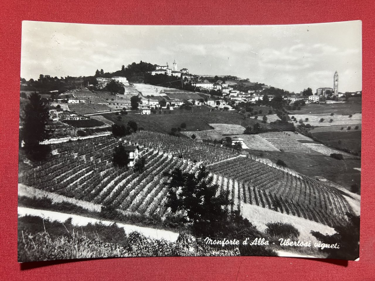 Cartolina - Monforte d'Alba ( Cuneo ) - Ubertosi vigneti …