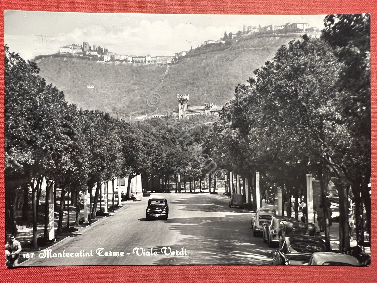 Cartolina - Montecatini Terme ( Pistoia ) - Viale Verdi …