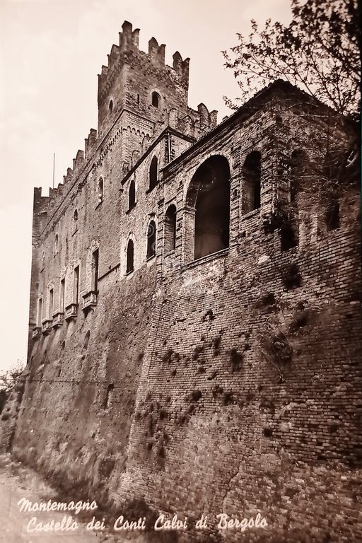 Cartolina - Montemagno ( Asti ) - Castello dei Conti …