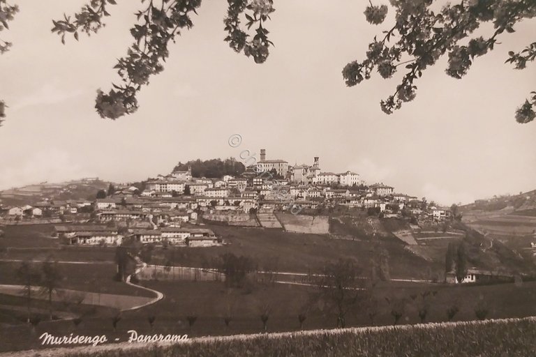 Cartolina - Murisengo - Panorama - 1965 ca.