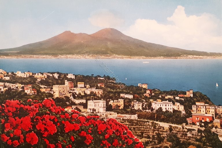 Cartolina - Napoli - Panorama Posillipo e Vesuvio - 1960 …