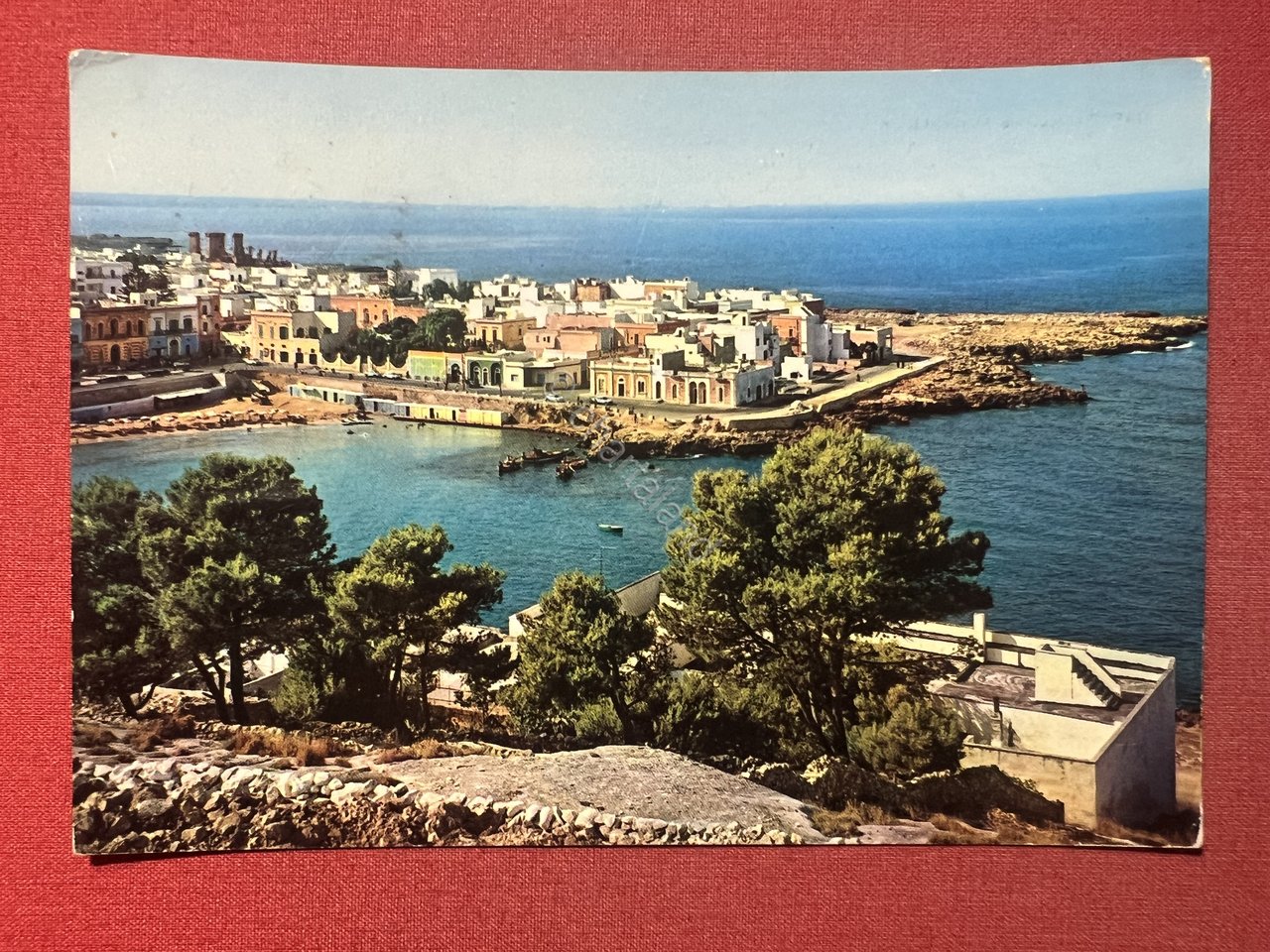 Cartolina - Nardò ( Lecce ) - S. Maria al …