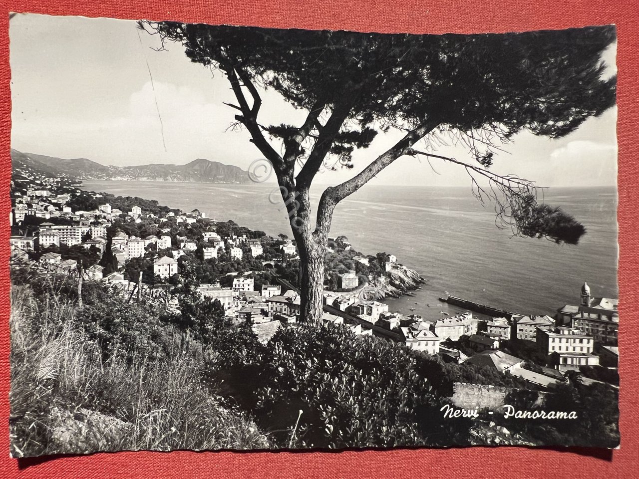 Cartolina - Nervi ( Genova ) - Panorama - 1959
