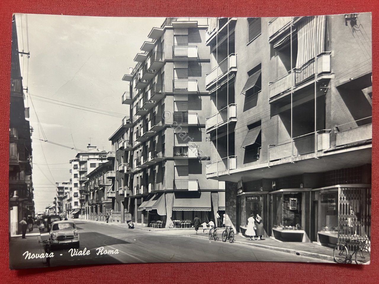 Cartolina - Novara - Viale Roma - 1958