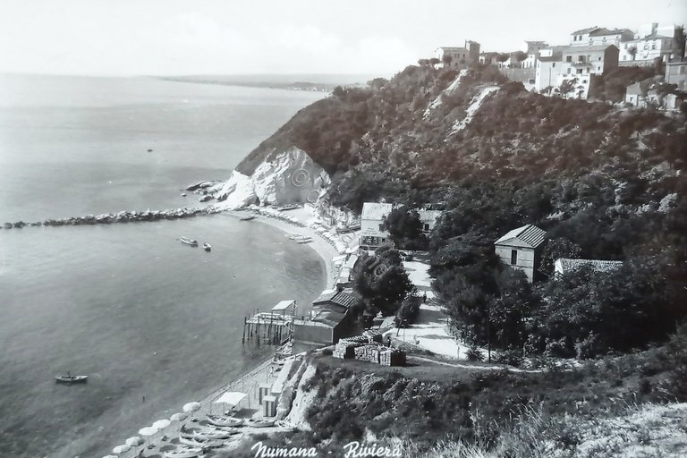 Cartolina - Numana ( Ancona ) - Riviera - 1956