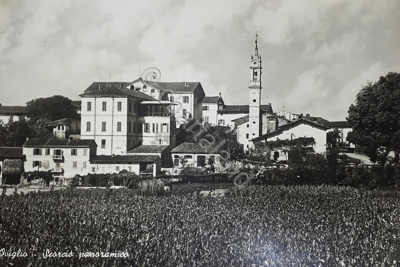 Cartolina - Oviglio - Scorcio panoramico - 1950 ca.