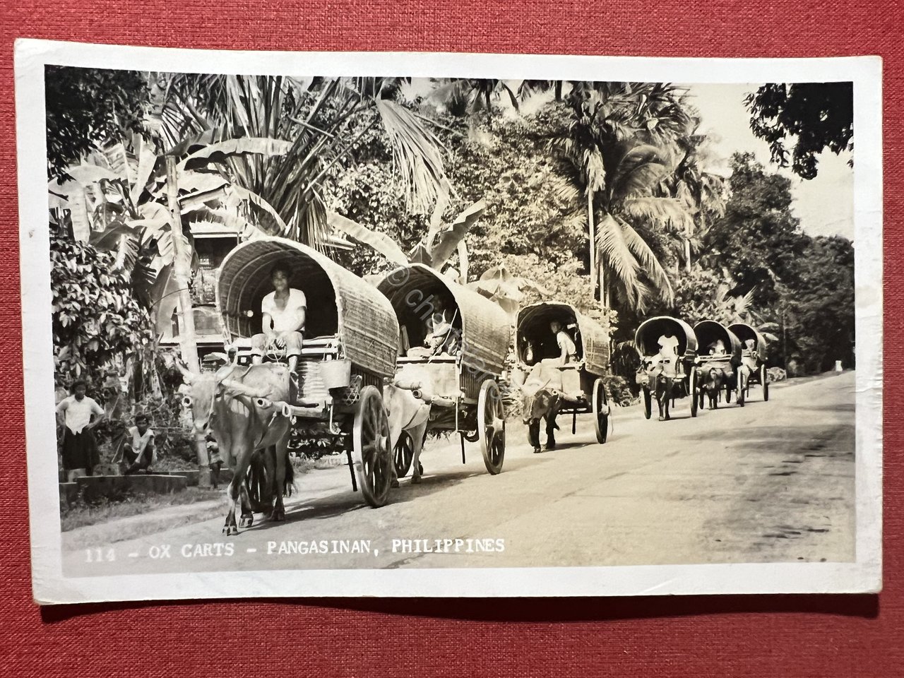 Cartolina - Ox Carts - Pangasinan - Philippines - 1940 …