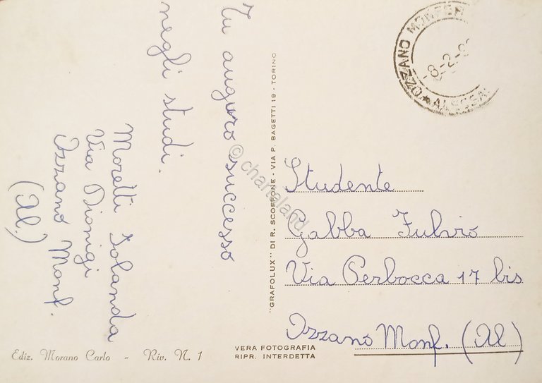 Cartolina - Ozzano Monferrato - Lavello - Panorama - 1950 …