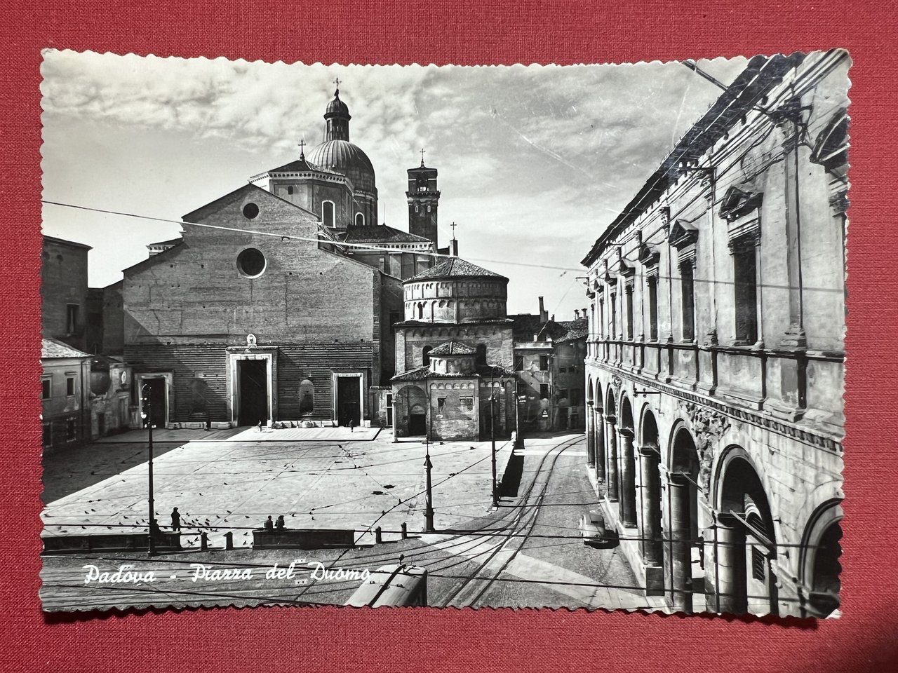 Cartolina - Padova - Piazza del Duomo - 1953
