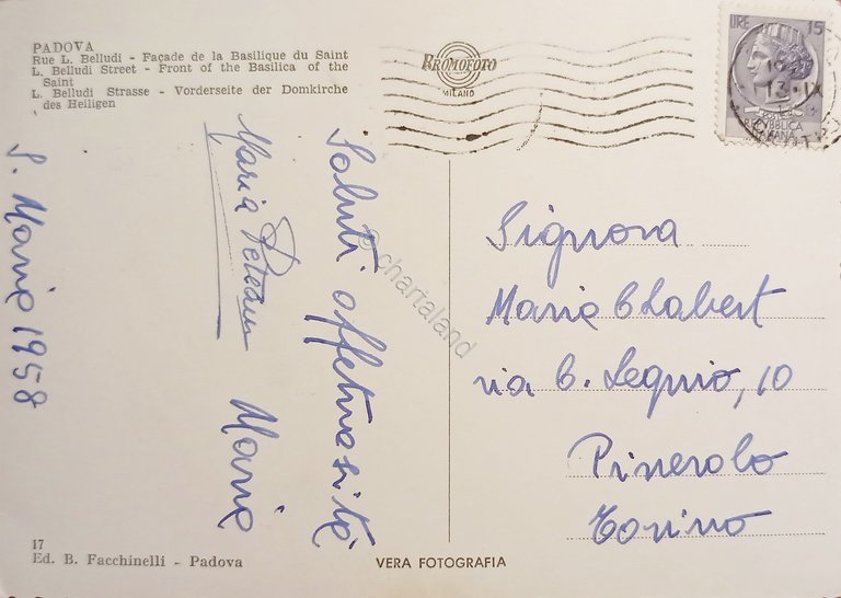 Cartolina - Padova - Via L. Belludi - Facciata del …