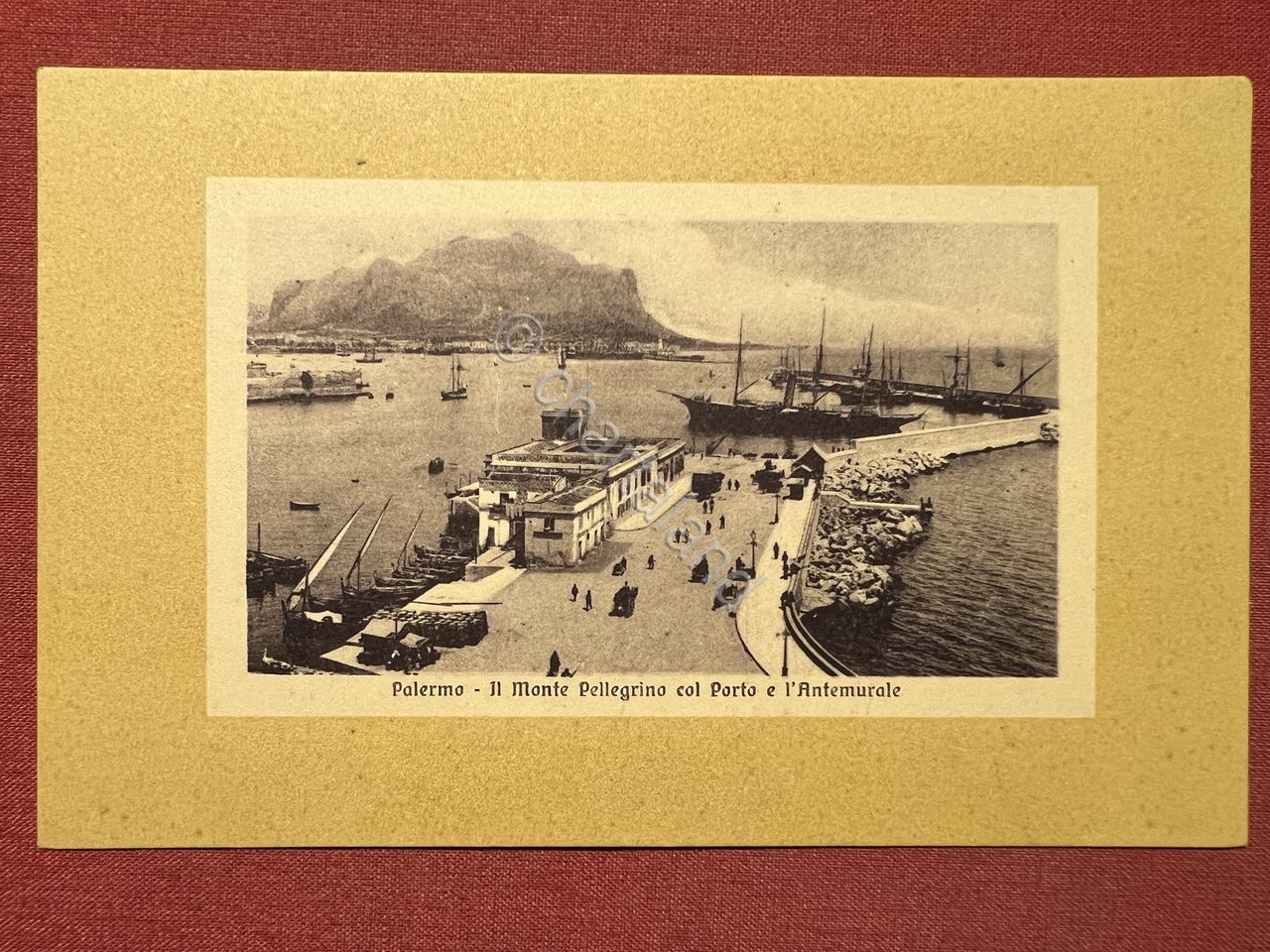 Cartolina - Palermo - Il Monte Pellegrino col Porto e …