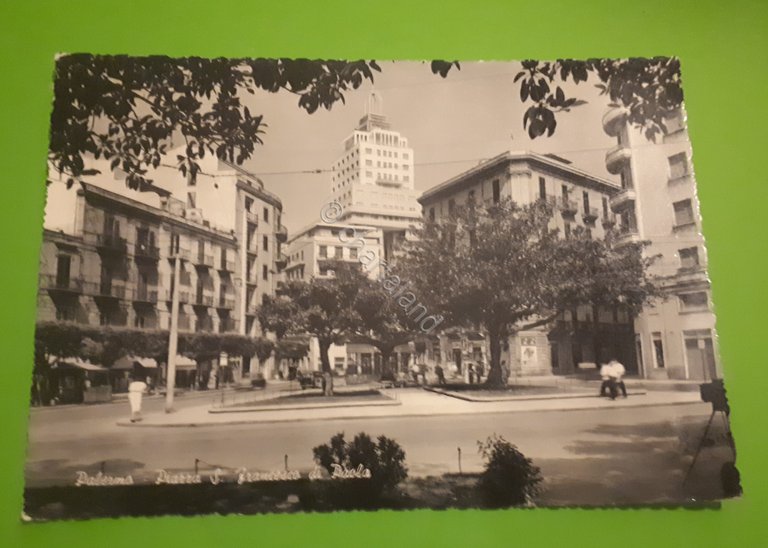 Cartolina - Palermo - Piazza S. Francesco di Paola - …