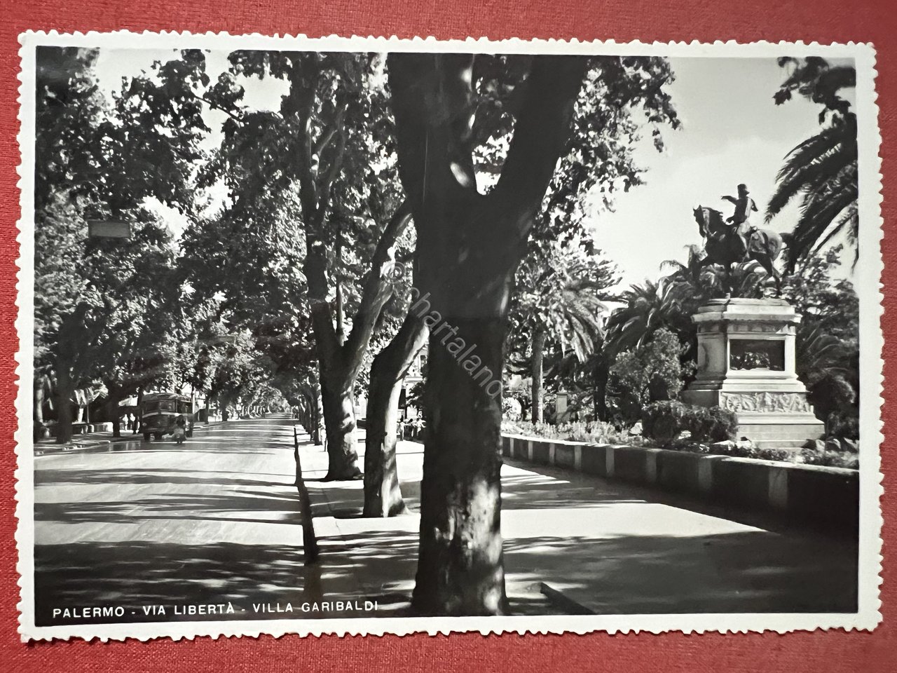 Cartolina - Palermo - Via Libertà - Villa Garibaldi - … | Immagine principale