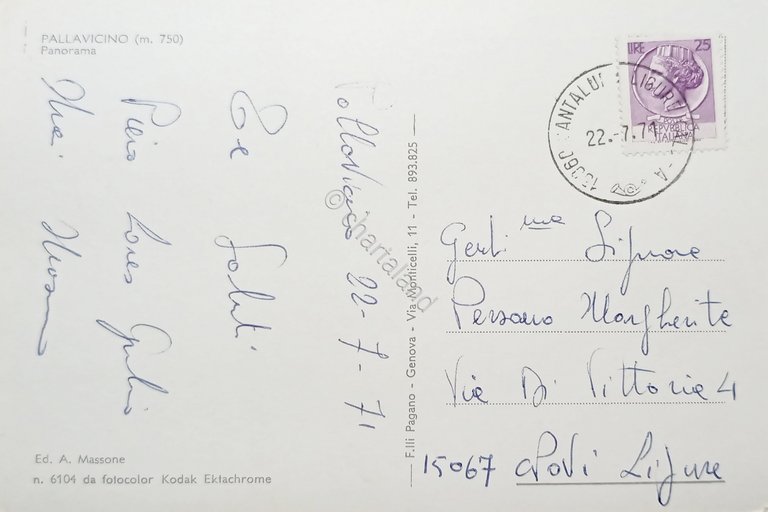 Cartolina - Pallavicino ( Alessandria) - Panorama - 1971