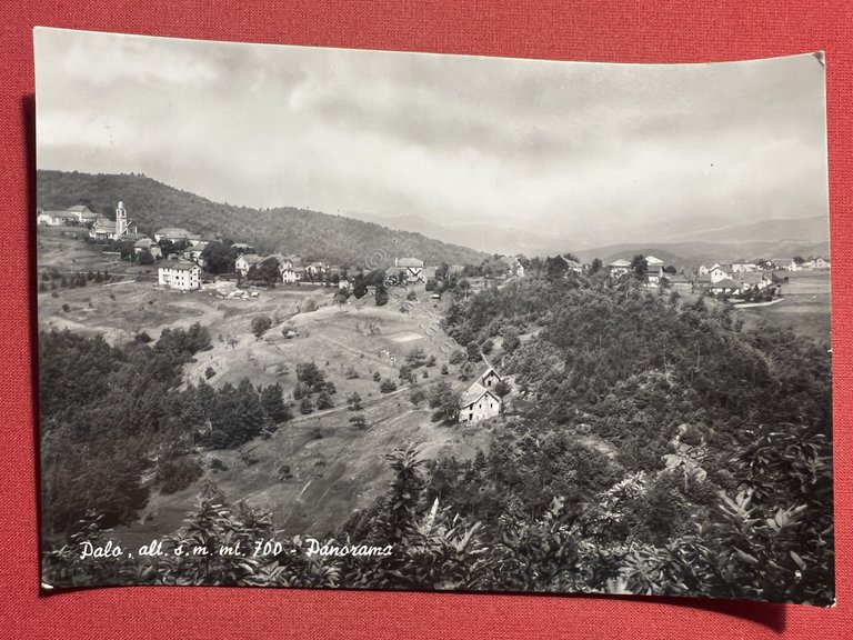 Cartolina - Palo ( Bari ) - Panorama - 1964
