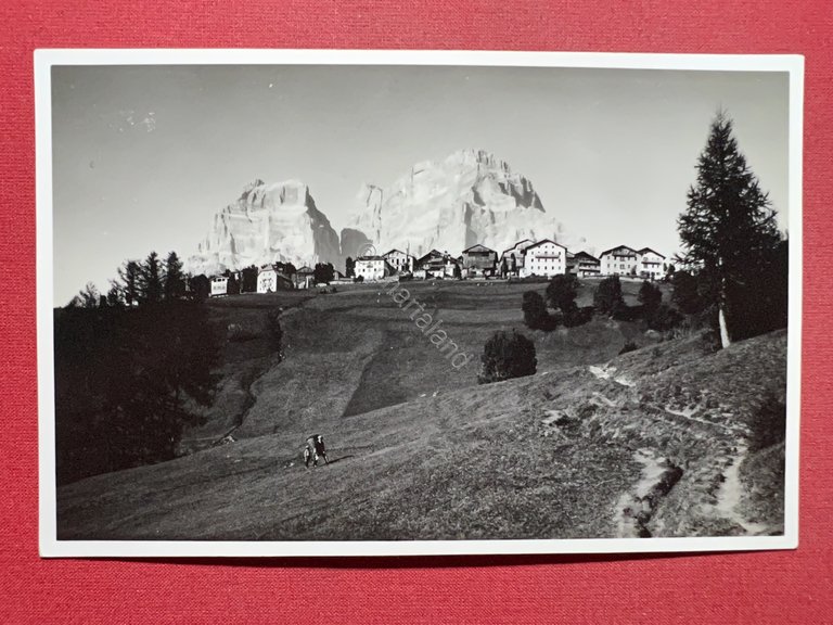 Cartolina - Panorama di Coi e Monte Pelmo ( Zoldo …