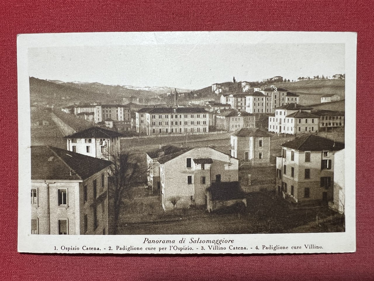 Cartolina - Panorama di Salsomaggiore - Ospizio Catena - Villino …