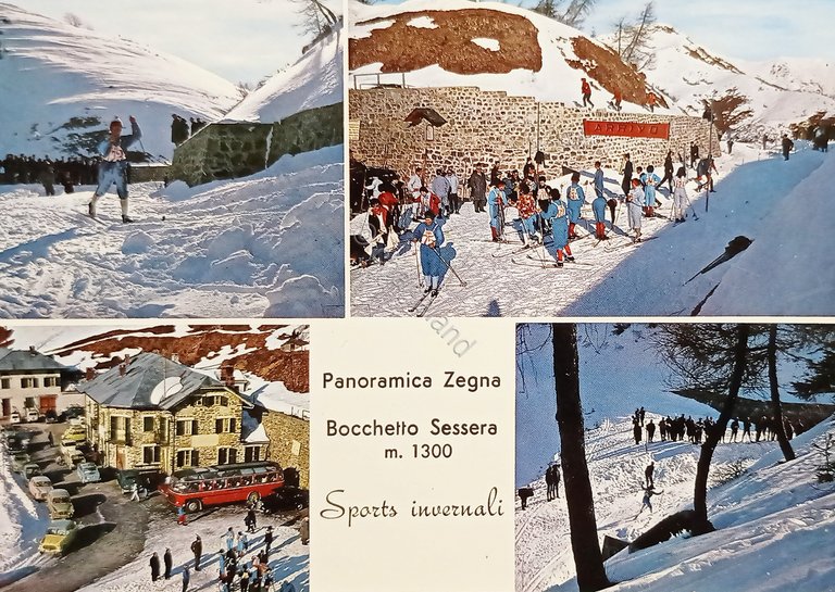 Cartolina - Panoramica Zegna - Bocchetto Sessera - Sports Invernale …