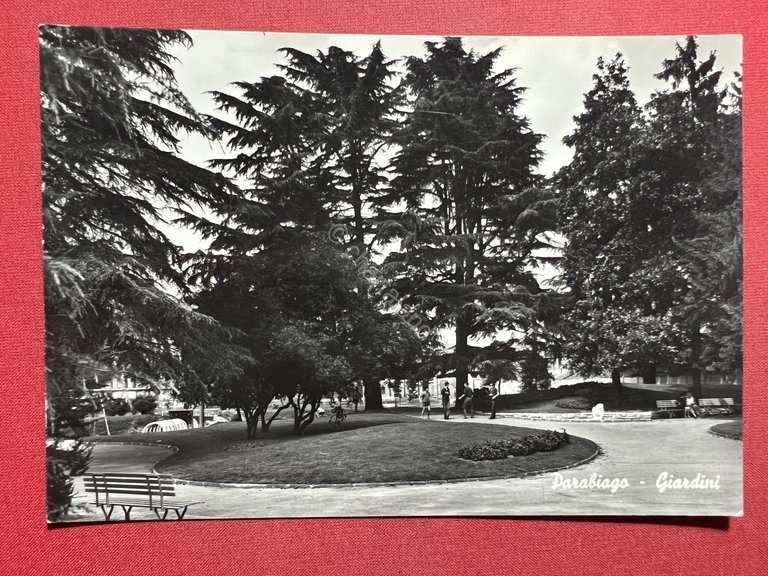 Cartolina - Parabiago ( Milano ) - Giardini - 1950 …