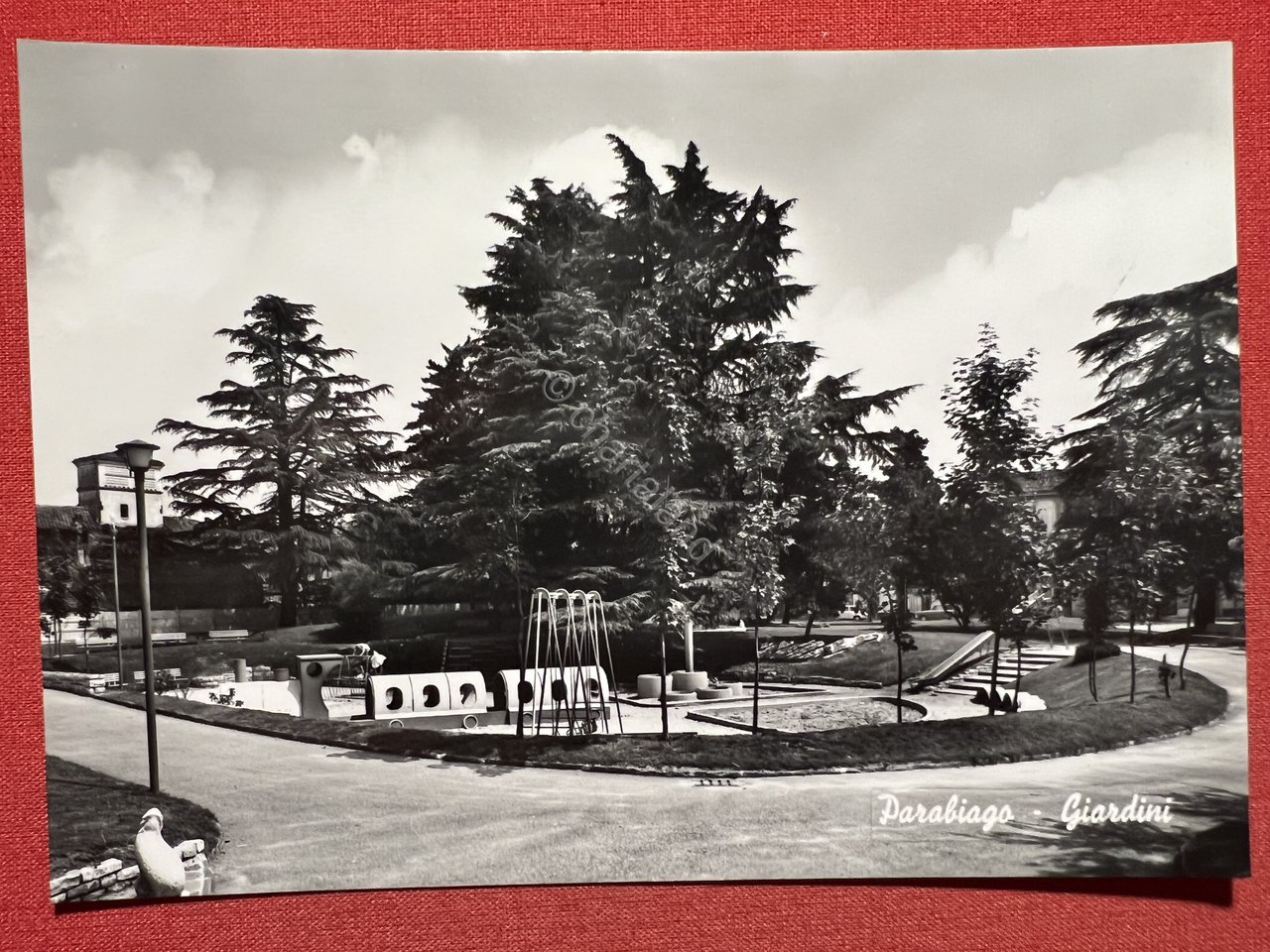 Cartolina - Parabiago ( Milano ) - Giardini - 1955 …