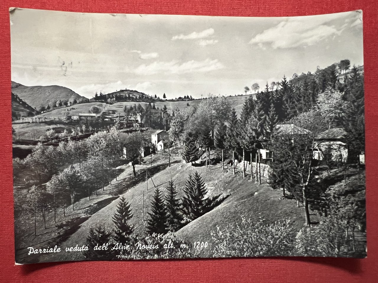 Cartolina - Parziale veduta dell'Alpe Noveis ( Biella ) - …