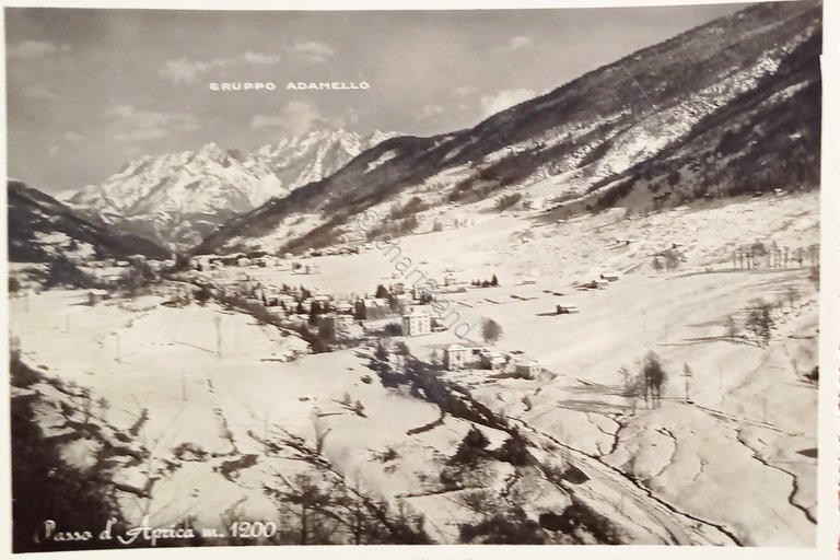 Cartolina - Passo d'Aprica ( Sondrio ) - Panorama - … | Immagine Gallery 3