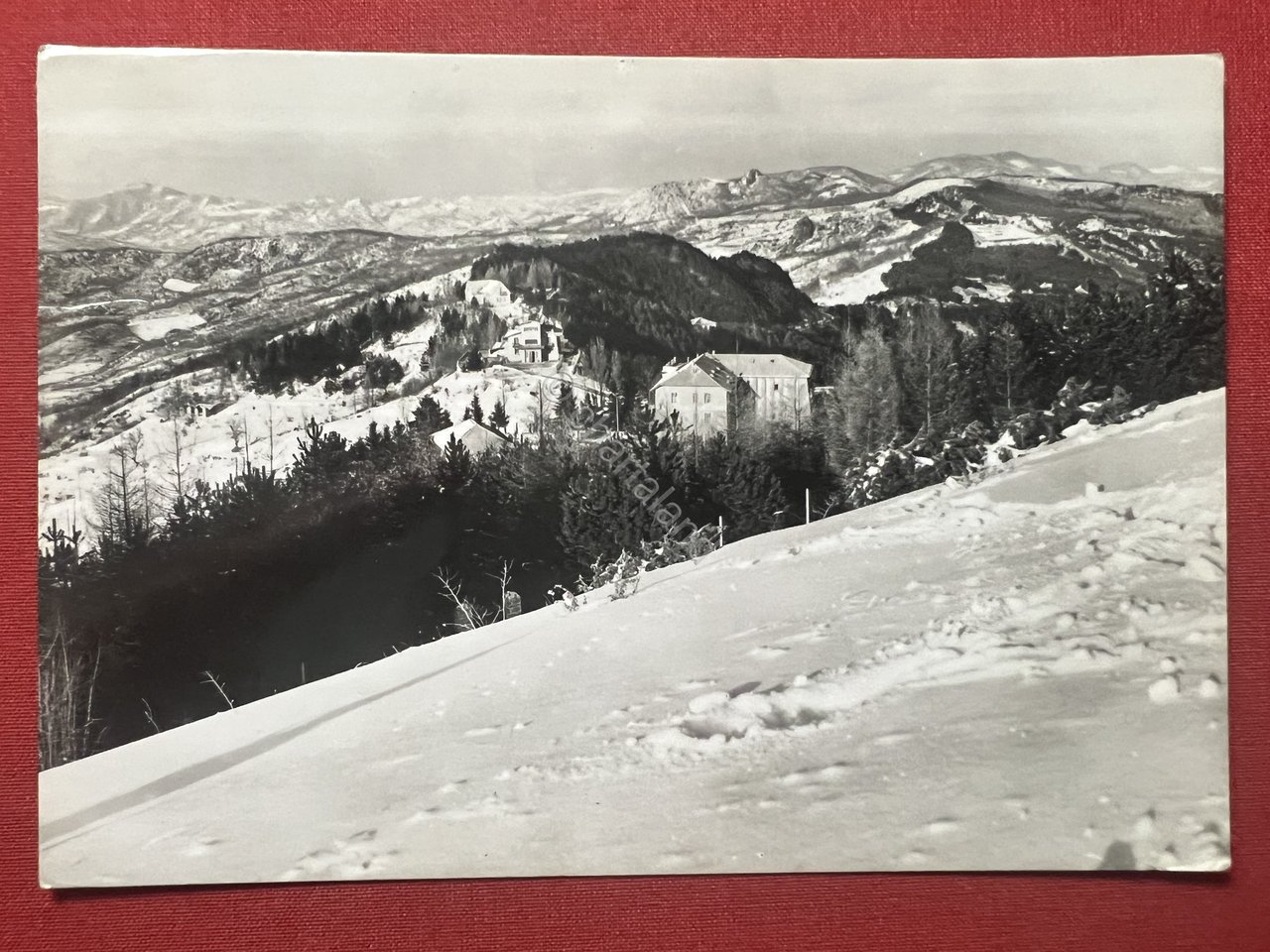 Cartolina - Passo del Penice - L'Albergo Buscaglia - 1963