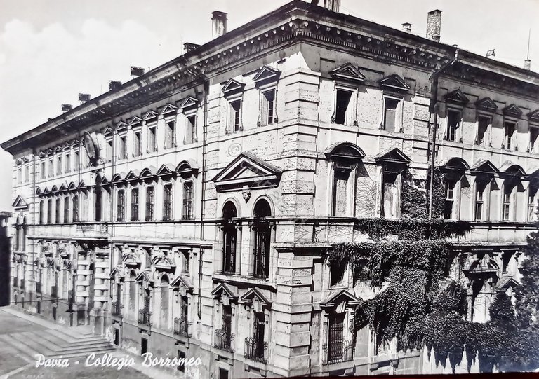 Cartolina - Pavia - Collegio Borromeo - 1962