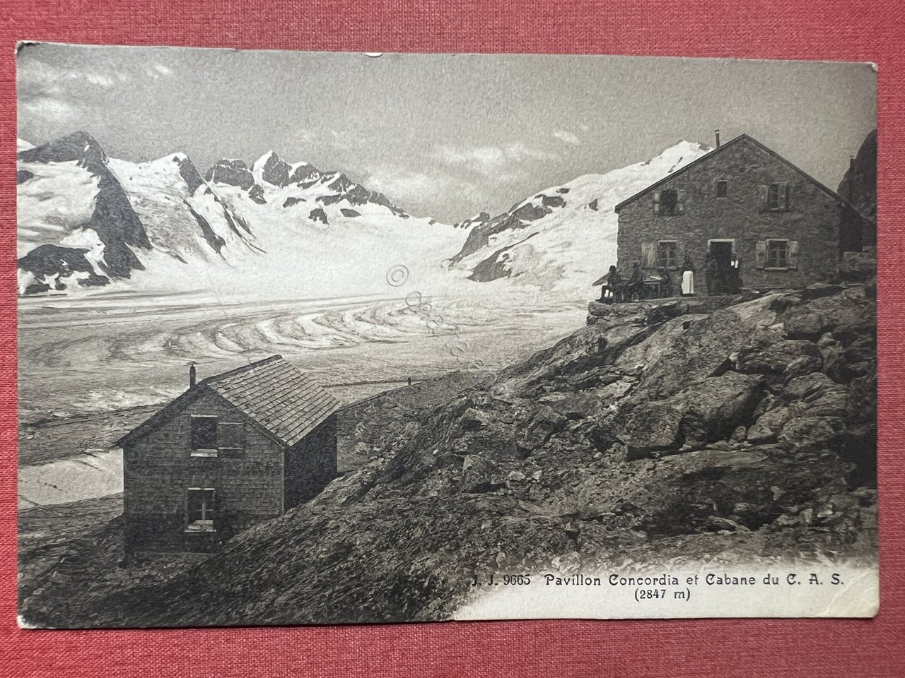 Cartolina - Pavillon Concordia et Cabane du C. A. S. …