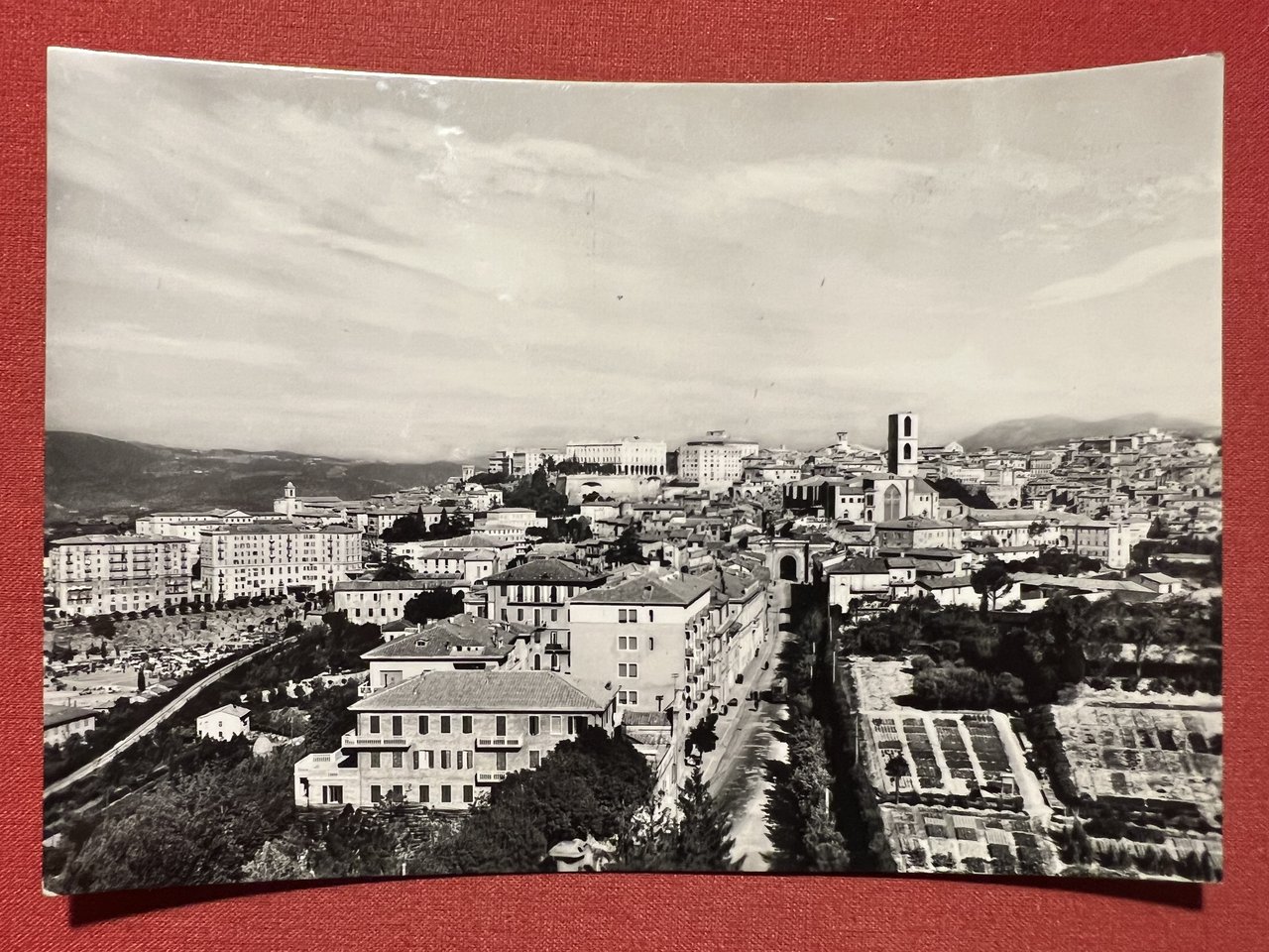 Cartolina - Perugia - Panorama da S. Pietro - 1955 …