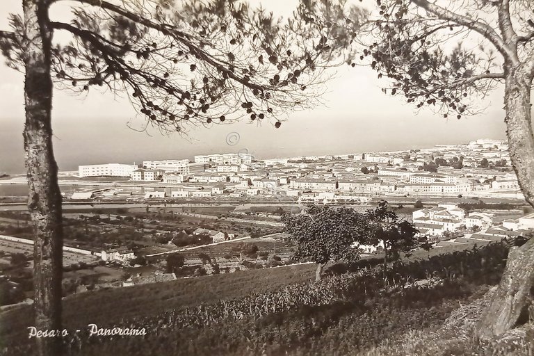 Cartolina - Pesaro - Panorama - 1955