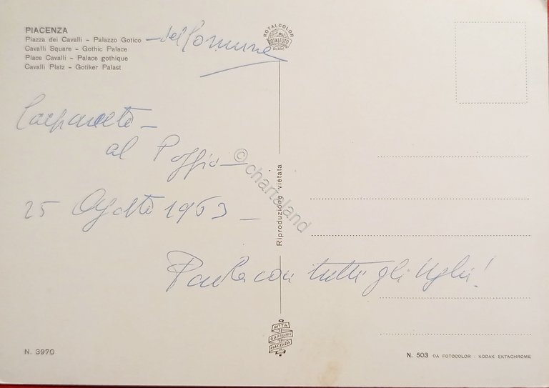 Cartolina - Piacenza - Piazza dei Cavalli - Palazzo Gotico … | Immagine Gallery 4