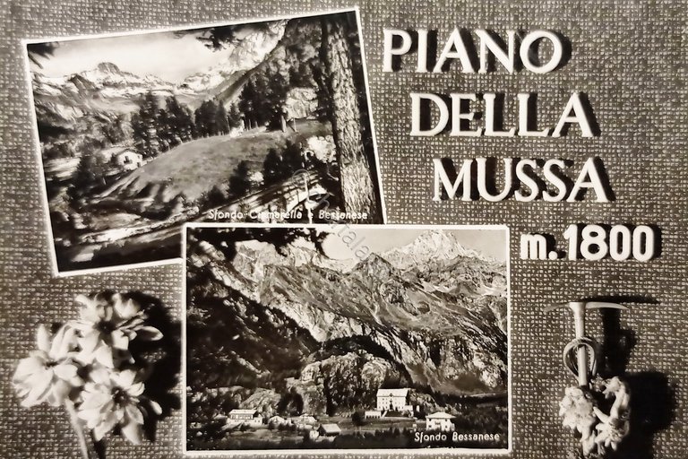 Cartolina - Pian della Mussa - Vedute diverse - 1960