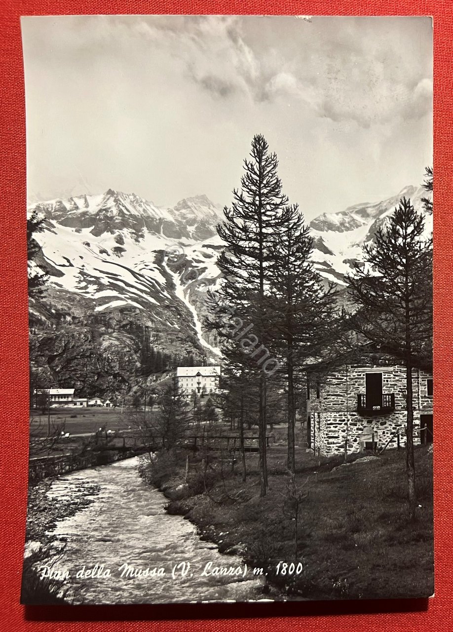 Cartolina - Pian della Mussa ( V. Lanzo ) - …