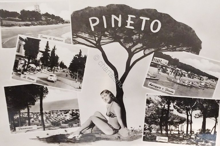 Cartolina - Pineto - 1950 ca.