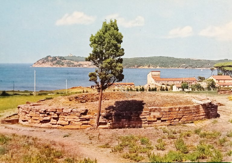 Cartolina - Piombino Populonia - Tombe Etrusche - 1965 ca.