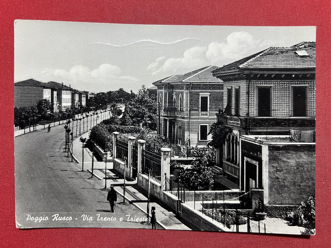 Cartolina - Poggio Rusco ( Mantova ) - Via Trento …