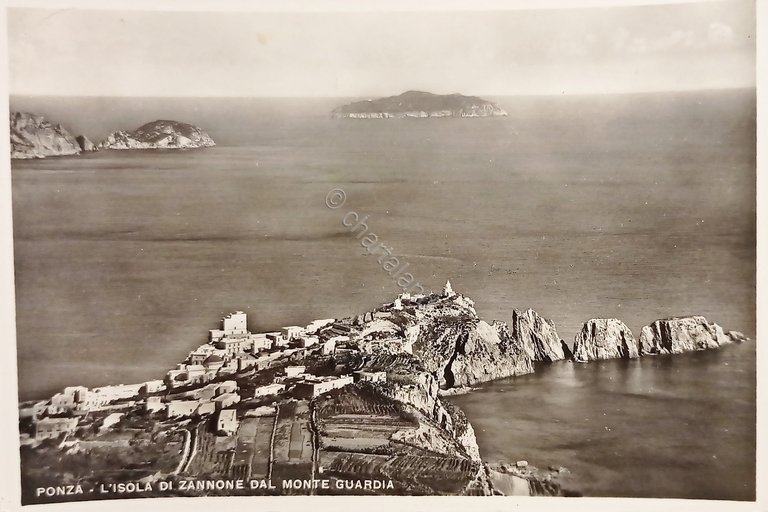 Cartolina - Ponza - L'Isola di Zannone dal Monte Guardia …