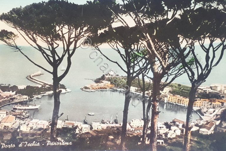 Cartolina - Porto d'Ischia - Panorama - 1955