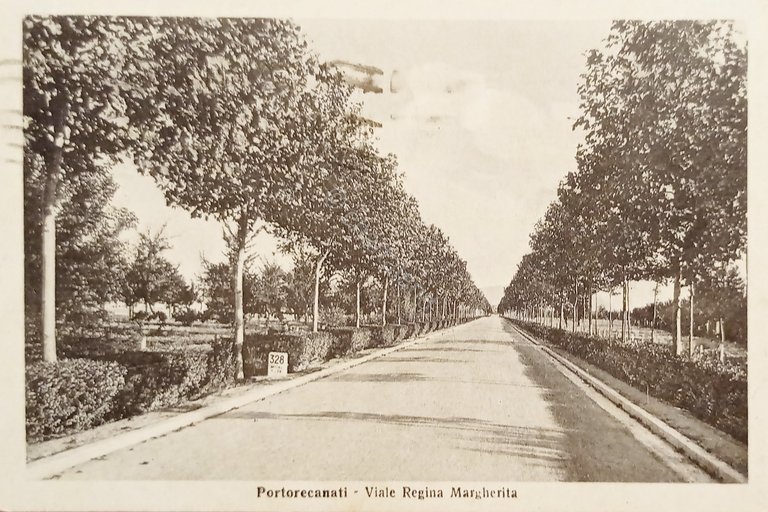 Cartolina - Porto Recanati - Viale Regina Margherita - 1939