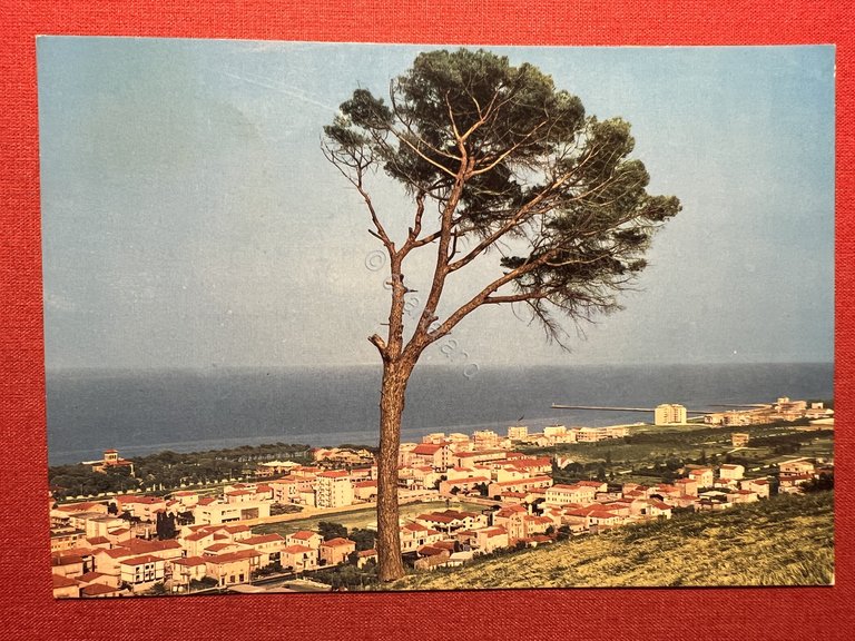 Cartolina - Porto S. Giorgio ( Fermo ) - Panorama …