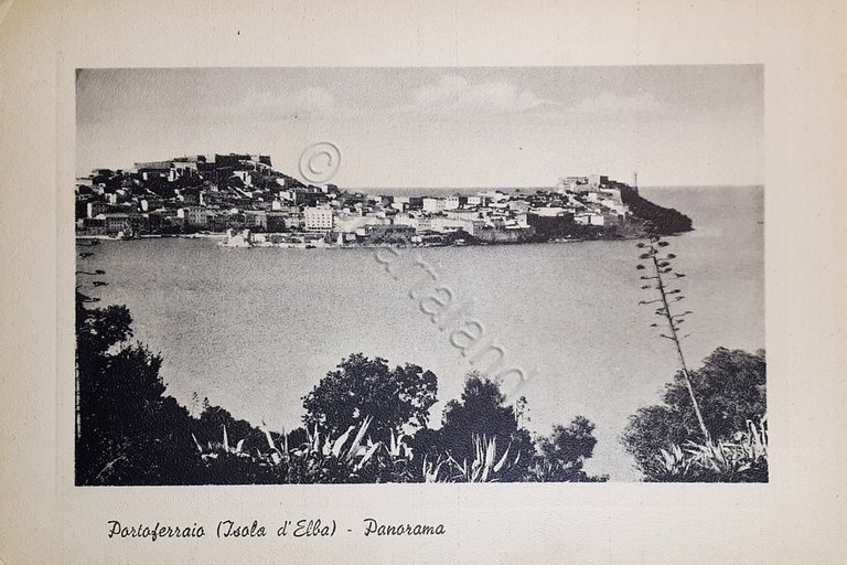 Cartolina - Portoferraio ( Isola d'Elba ) - Panorama - …