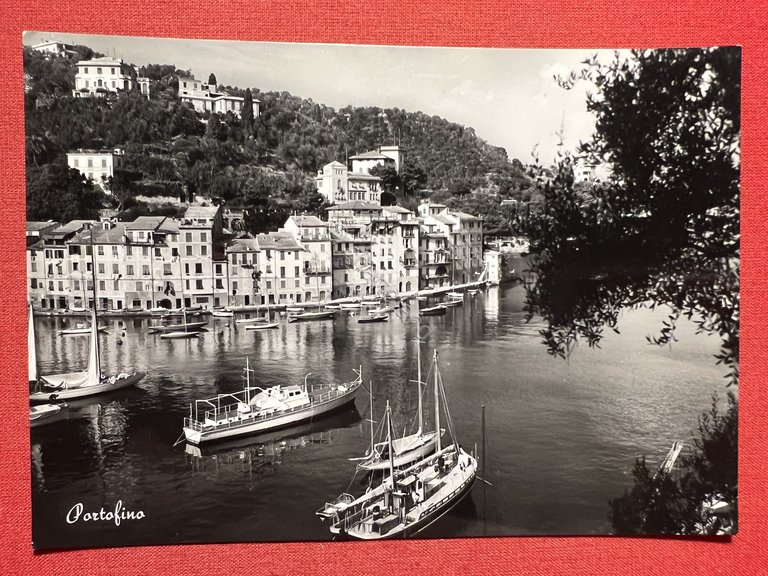 Cartolina - Portofino ( Genova ) - Panorama - 1952