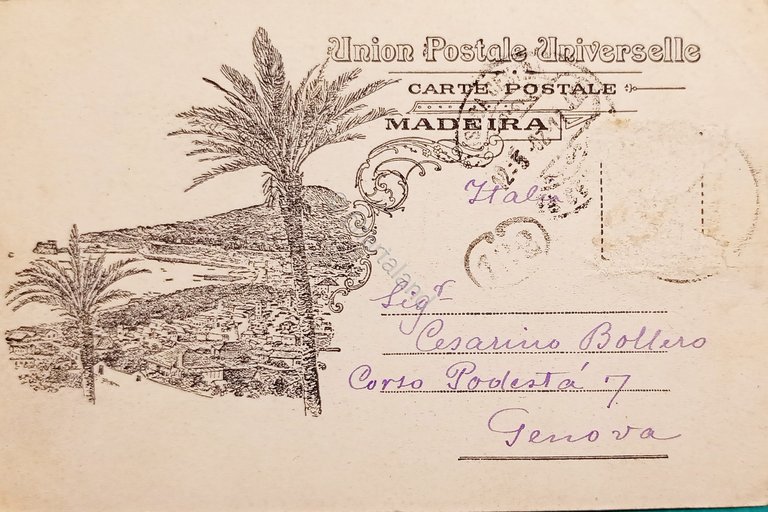 Cartolina - Portogallo - Madeira - 1902