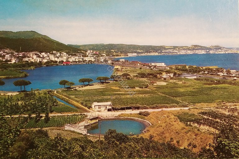 Cartolina - Pozzuoli - Lago Lucrino - 1972